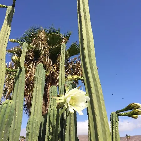 Casa Lili - Shared Pool - Close To Seafront Promenade - Sea Views From Upper Terrace Punta Mujeres
