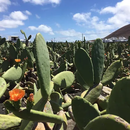 Casa Lili - Shared Pool - Close To Seafront Promenade - Sea Views From Upper Terrace Casa de Férias