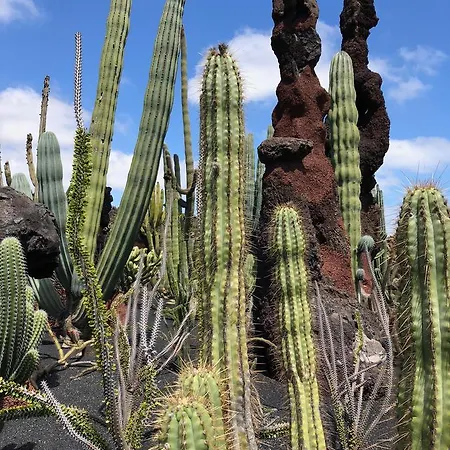 Casa Lili - Shared Pool - Close To Seafront Promenade - Sea Views From Upper Terrace Casa de Férias Punta Mujeres