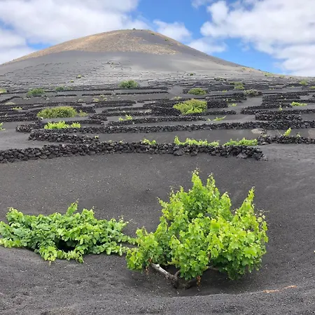 Casa Lili - Shared Pool - Close To Seafront Promenade - Sea Views From Upper Terrace Casa de Férias *