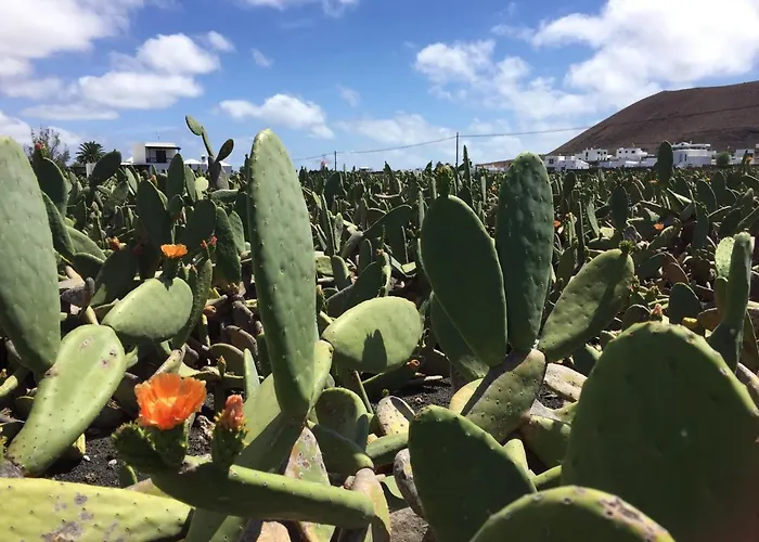 Casa Lili - Shared Pool - Close To Seafront Promenade - Sea Views From Upper Terrace Ferienhaus