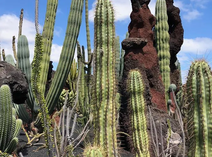 Casa Lili - Shared Pool - Close To Seafront Promenade - Sea Views From Upper Terrace Ferienhaus Punta Mujeres