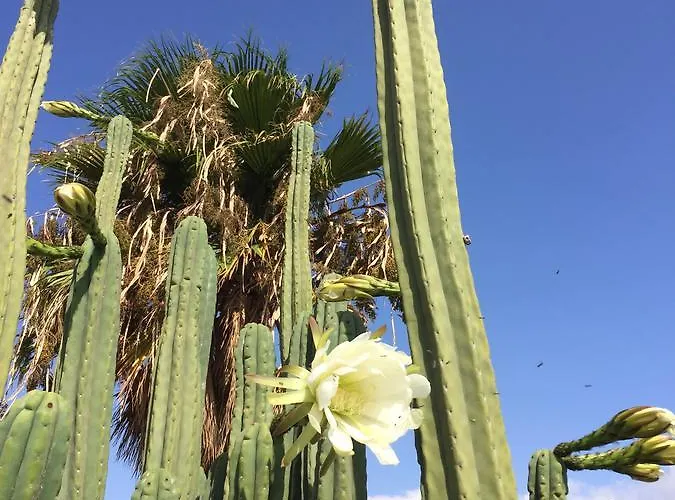 Casa Lili - Shared Pool - Close To Seafront Promenade - Sea Views From Upper Terrace Punta Mujeres